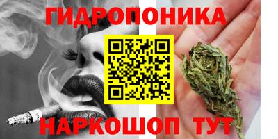 тгк Будённовск