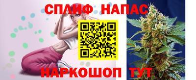 тгк Будённовск