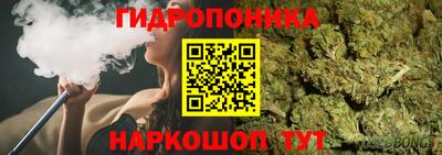 тгк Будённовск